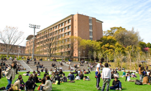 關西大學（別科）
