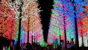 冬季浪漫燈飾巡禮